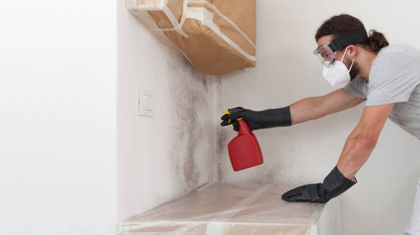 Professional Attic Mold Remediation technician working in Oxford, NC