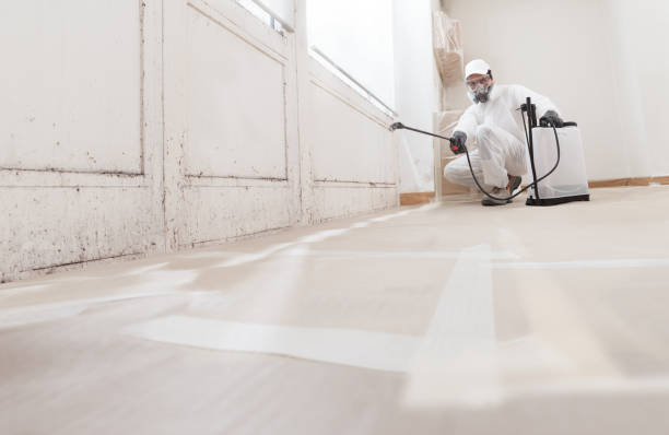 24/7 Emergency Attic Mold Remediation experts in Oxford, NC