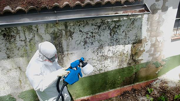 Top rated local Attic Mold Remediation specialists in Oxford, NC